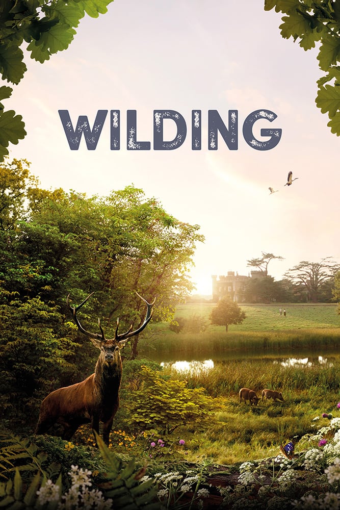 Wilding film poster